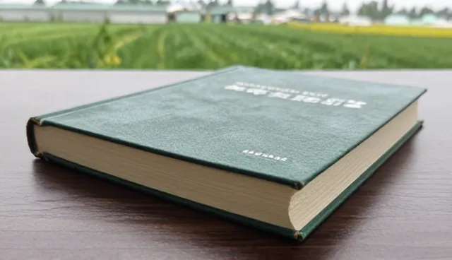 能源项目设计中选型关注点对技术实现的影响